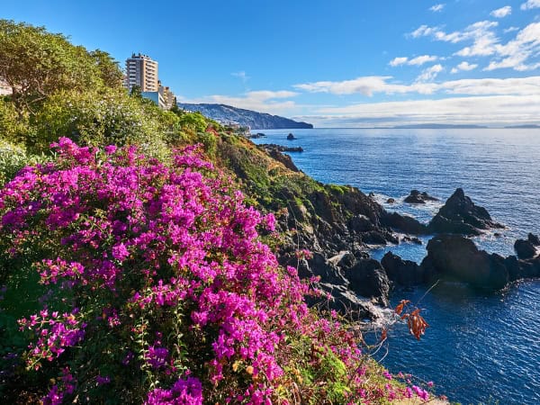Funchal &ndash; Madera