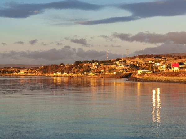Punta Arenas