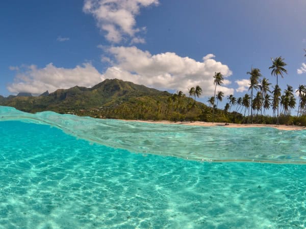 Moorea &ndash; Belv&eacute;d&egrave;re