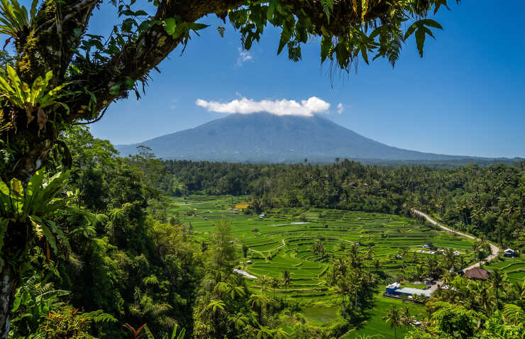 Bali